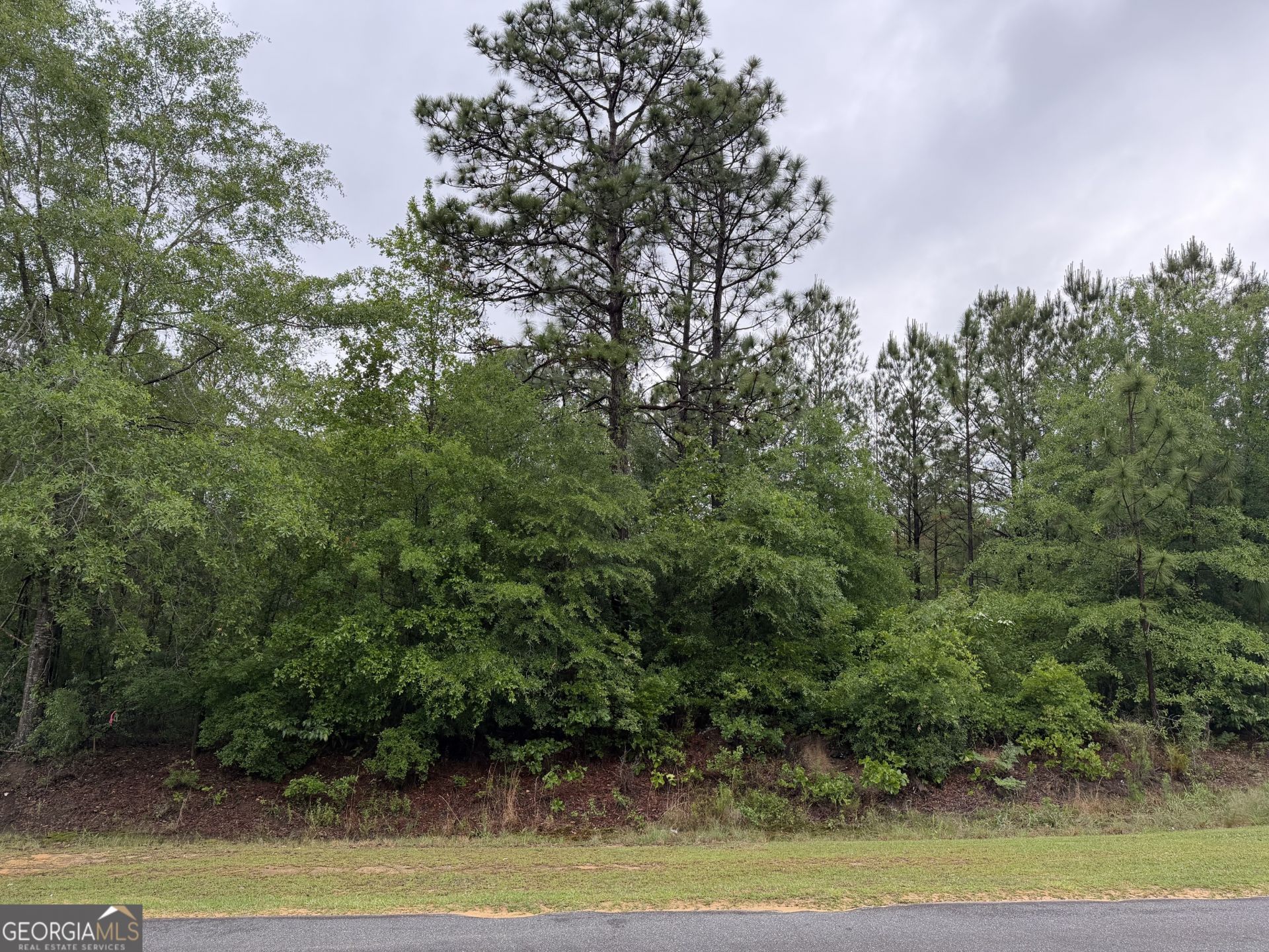 0 J W Miller Road, Reynolds, GA 31076 Main Photo