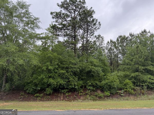 0 J W Miller Road, Reynolds, GA 31076
