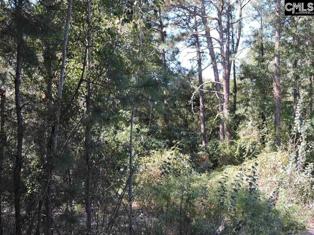 1250 South Lake Dr.  Photo 8