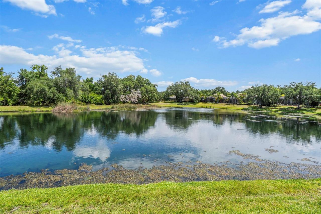 12037 Thornhill Court, Lakewood Ranch, FL 34202 Photo