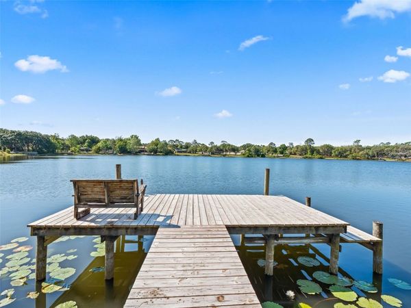 214 FISHER RUN , OCKLAWAHA, FL 32179