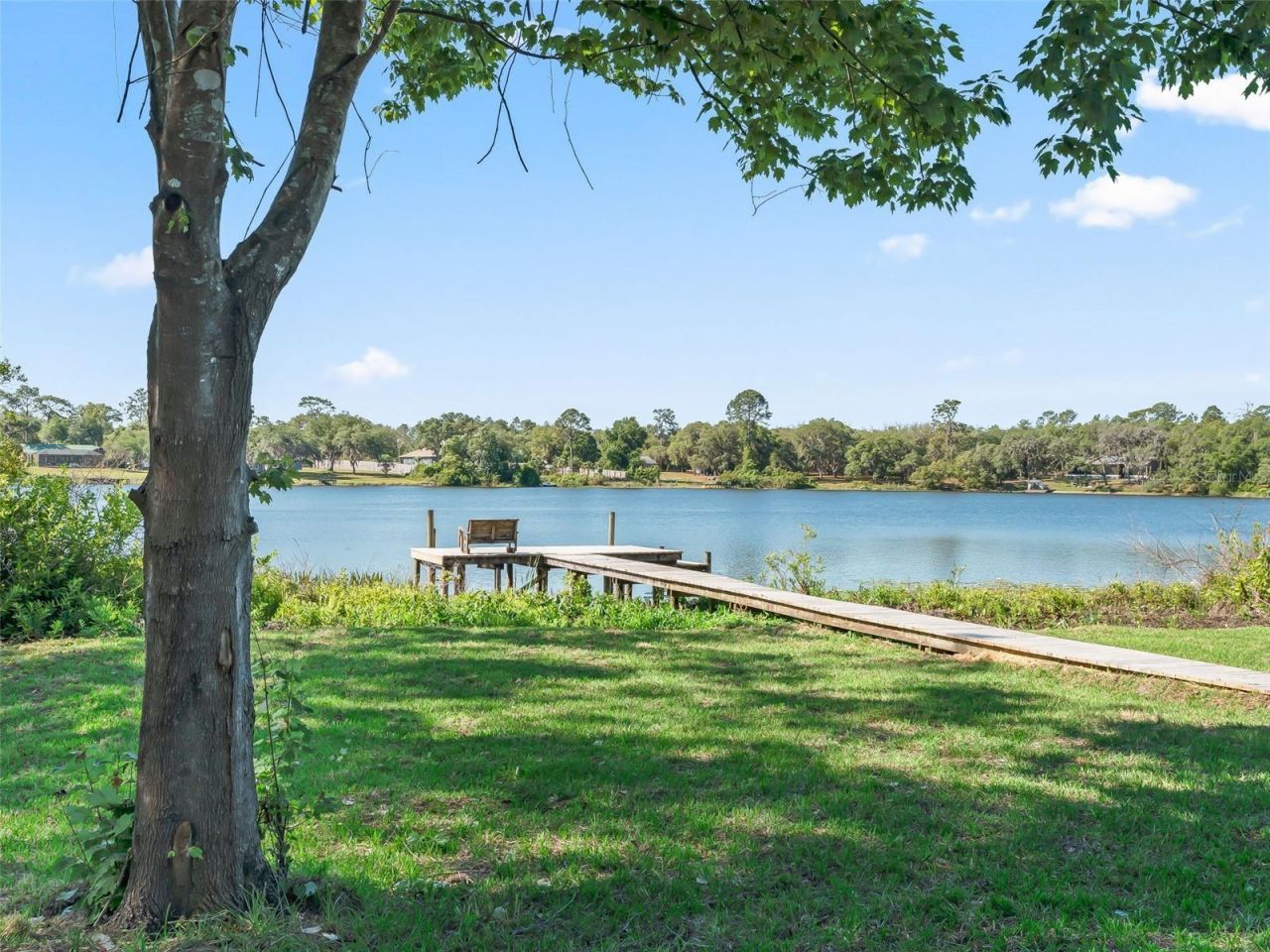 214 Fisher Run , Ocklawaha, FL 32179 Photo