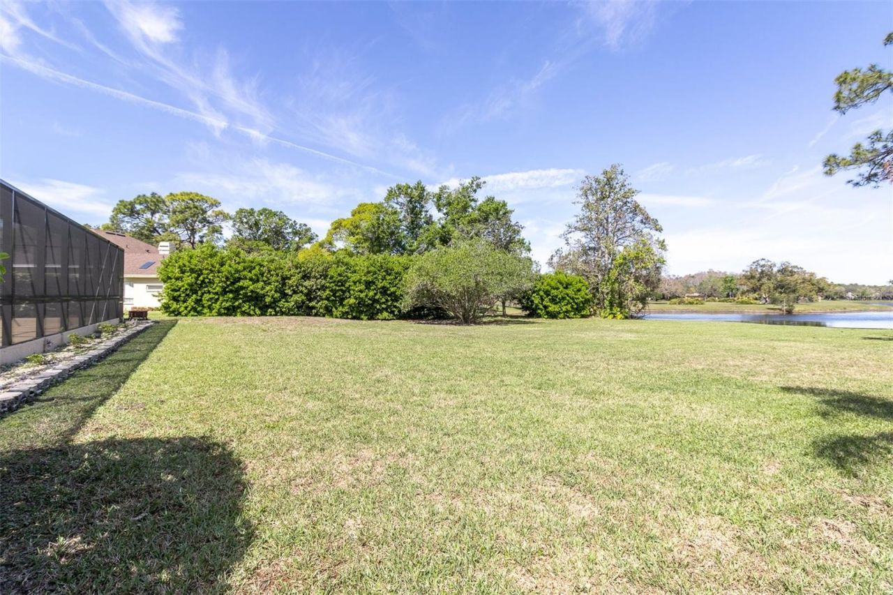4404 Lake In The Woods Drive, Spring Hill, FL 34607 Photo