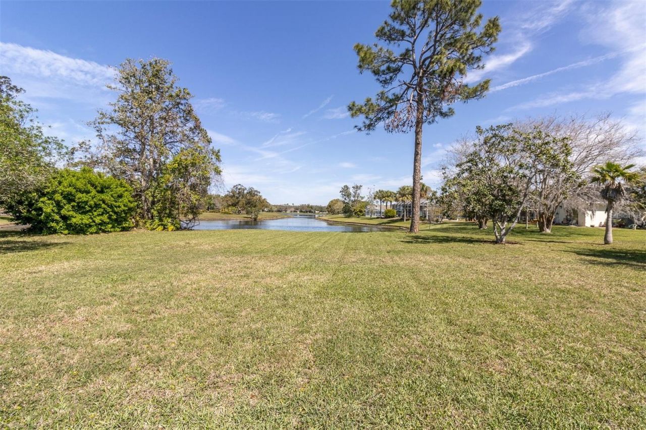 4404 Lake In The Woods Drive, Spring Hill, FL 34607 Photo