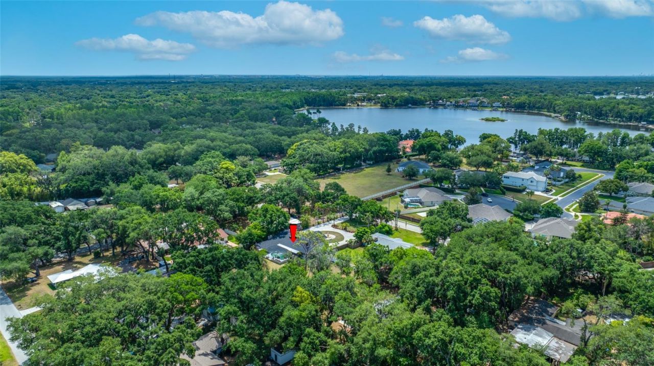 15314 Lake Magdalene Boulevard, Tampa, FL 33618 Photo