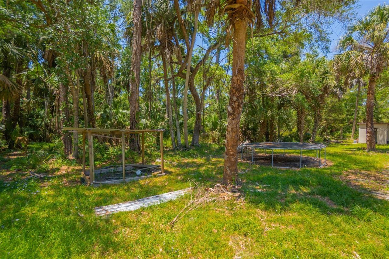 6550 SE Debra Avenue, Inglis, FL 34449 Photo
