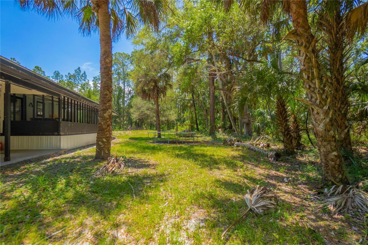 6550 SE Debra Avenue, Inglis, FL 34449 Photo