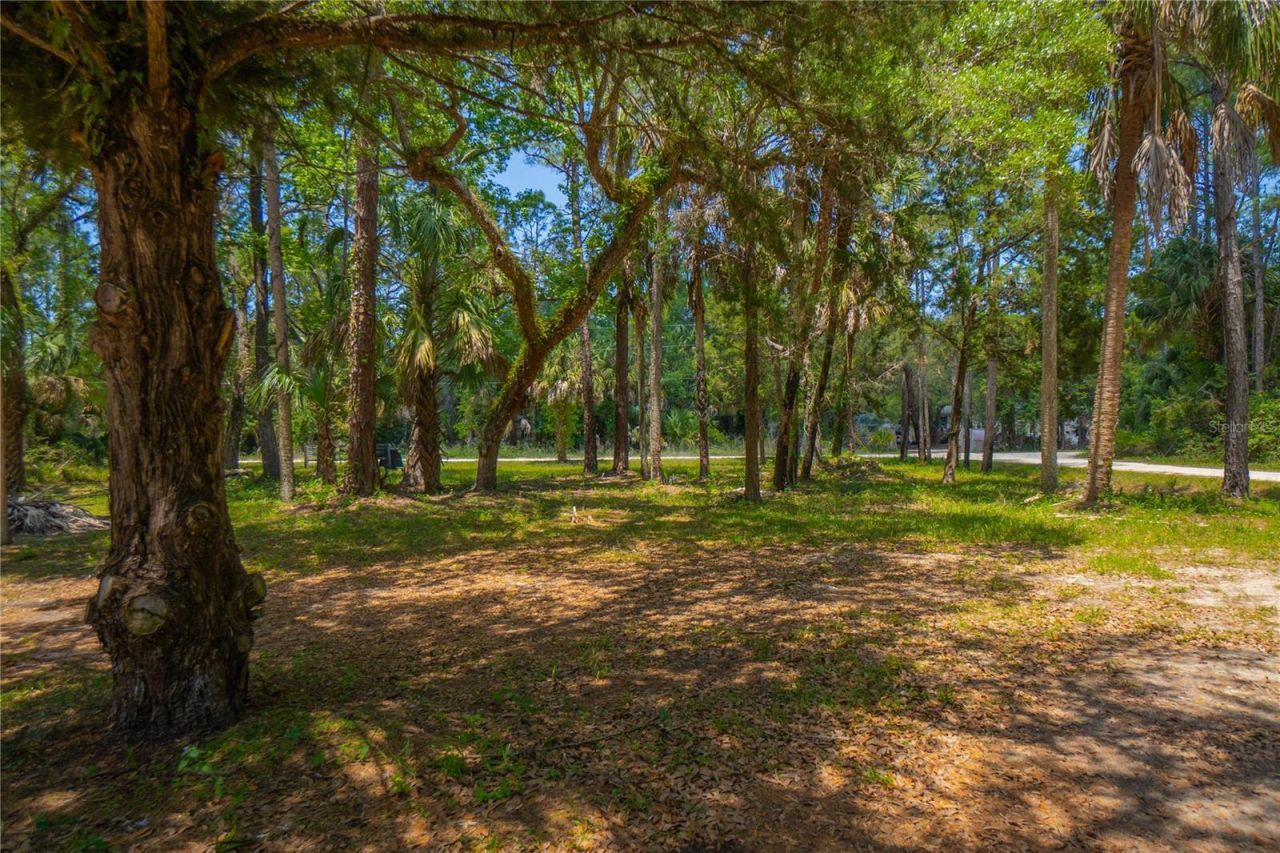 6550 SE Debra Avenue, Inglis, FL 34449 Photo