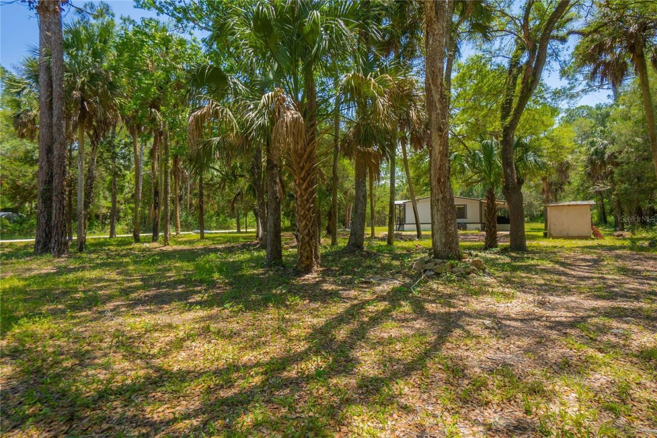 6550 SE Debra Avenue, Inglis, FL 34449 Photo
