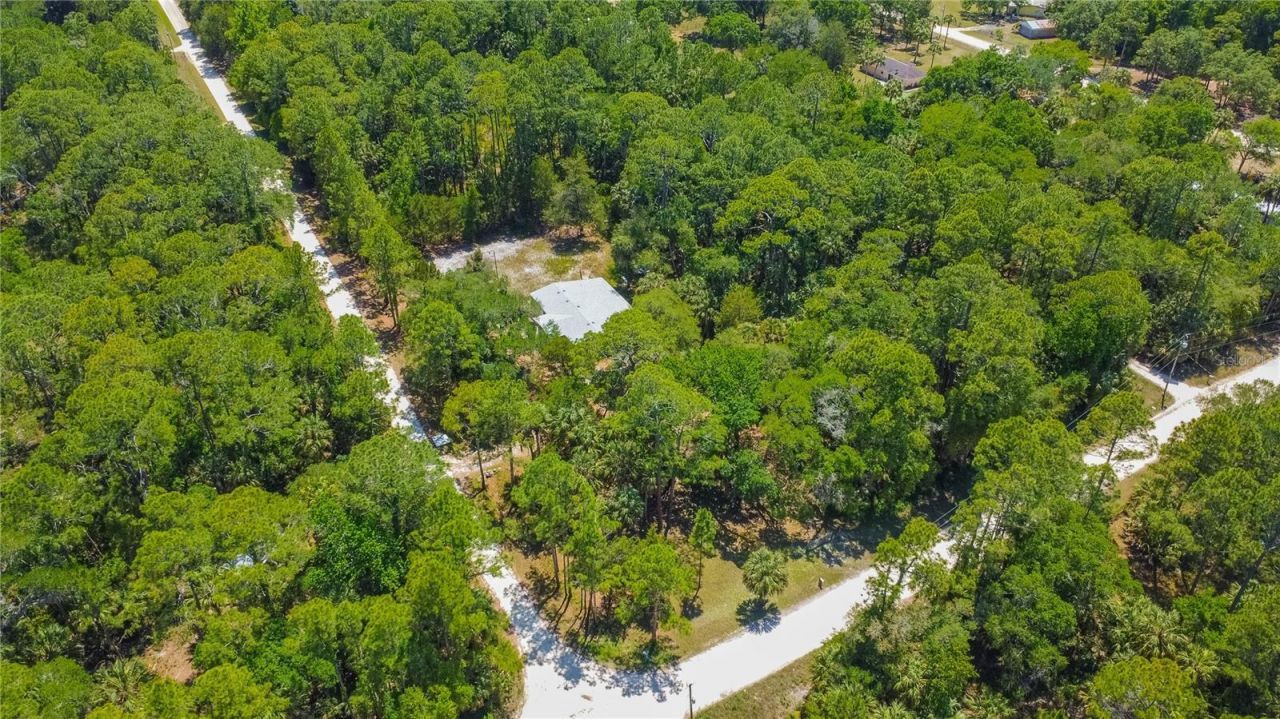 6550 SE Debra Avenue, Inglis, FL 34449 Photo