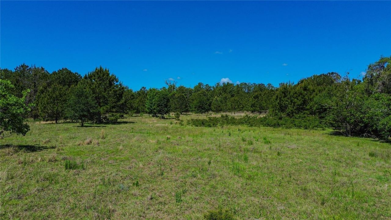 6489 Quarterhorse Lane , Brooksville, FL 34604 Photo