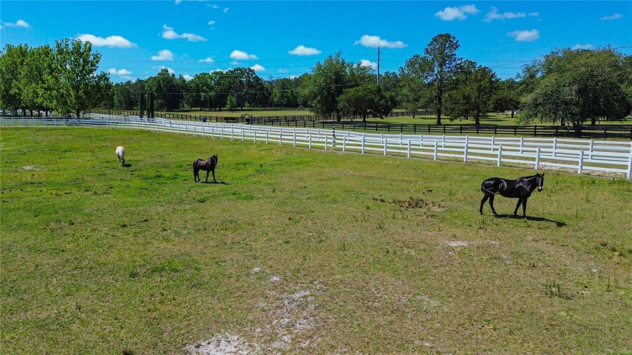 6489 Quarterhorse Lane , Brooksville, FL 34604 Photo