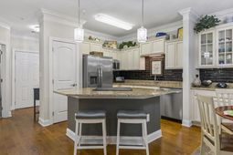 173 Ella Kinley Circle photo 4