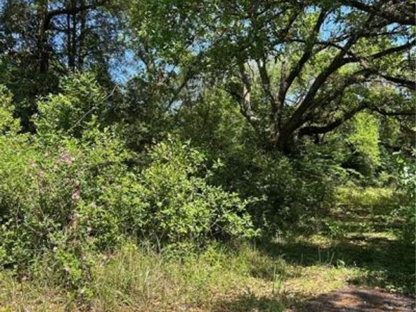 213 East Drive , Mobile, AL 36608