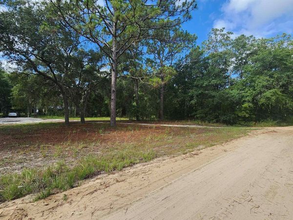0 Britt St, Interlachen, FL 32148