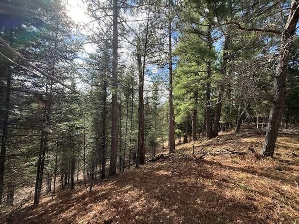 Parcel 1 Sawmill Trail, Grayling, MI 49738