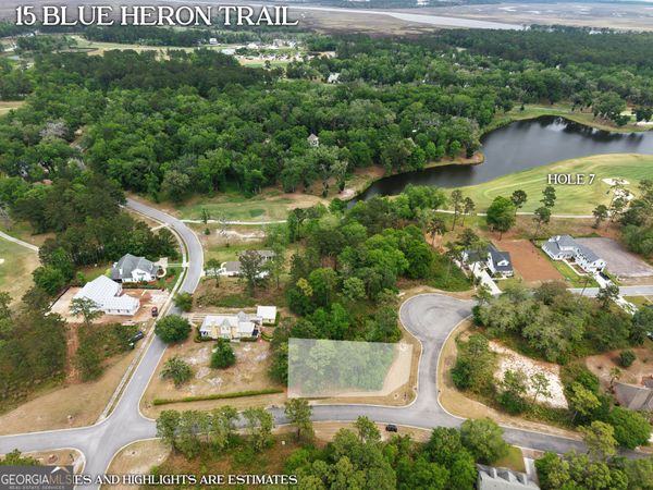 LOT 15 Blue Heron Trail, Waverly, GA 31565