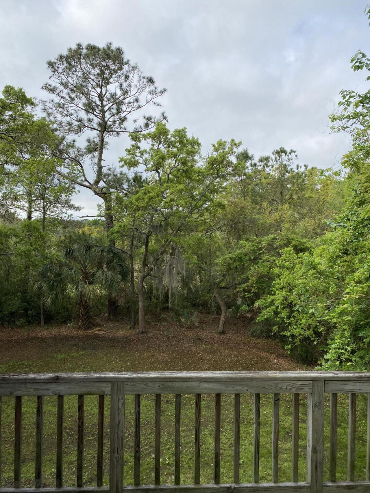 1527 Theresa Drive Photo 14