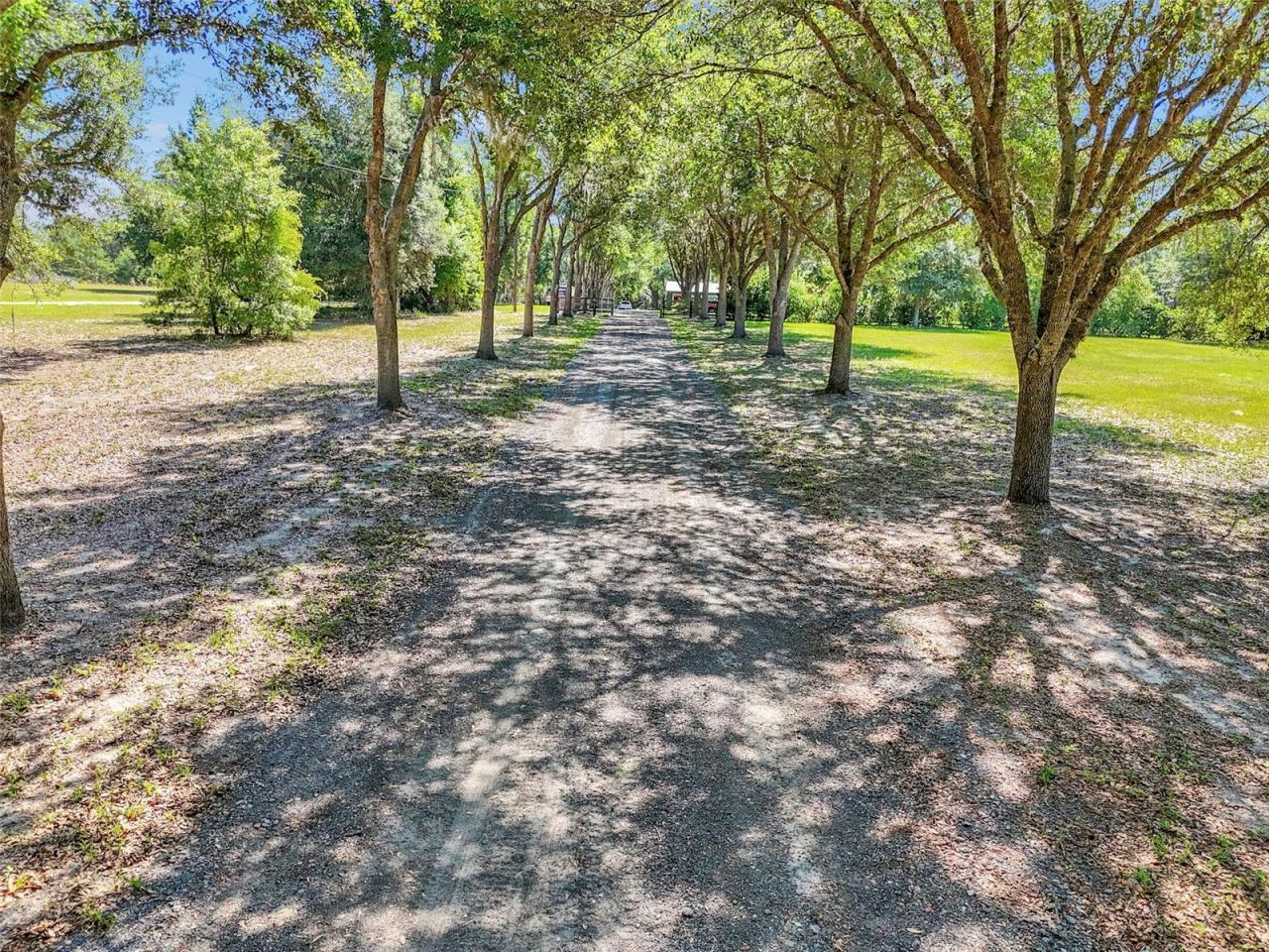 3325 S Hwy 314a, Ocklawaha, FL 32179 Photo