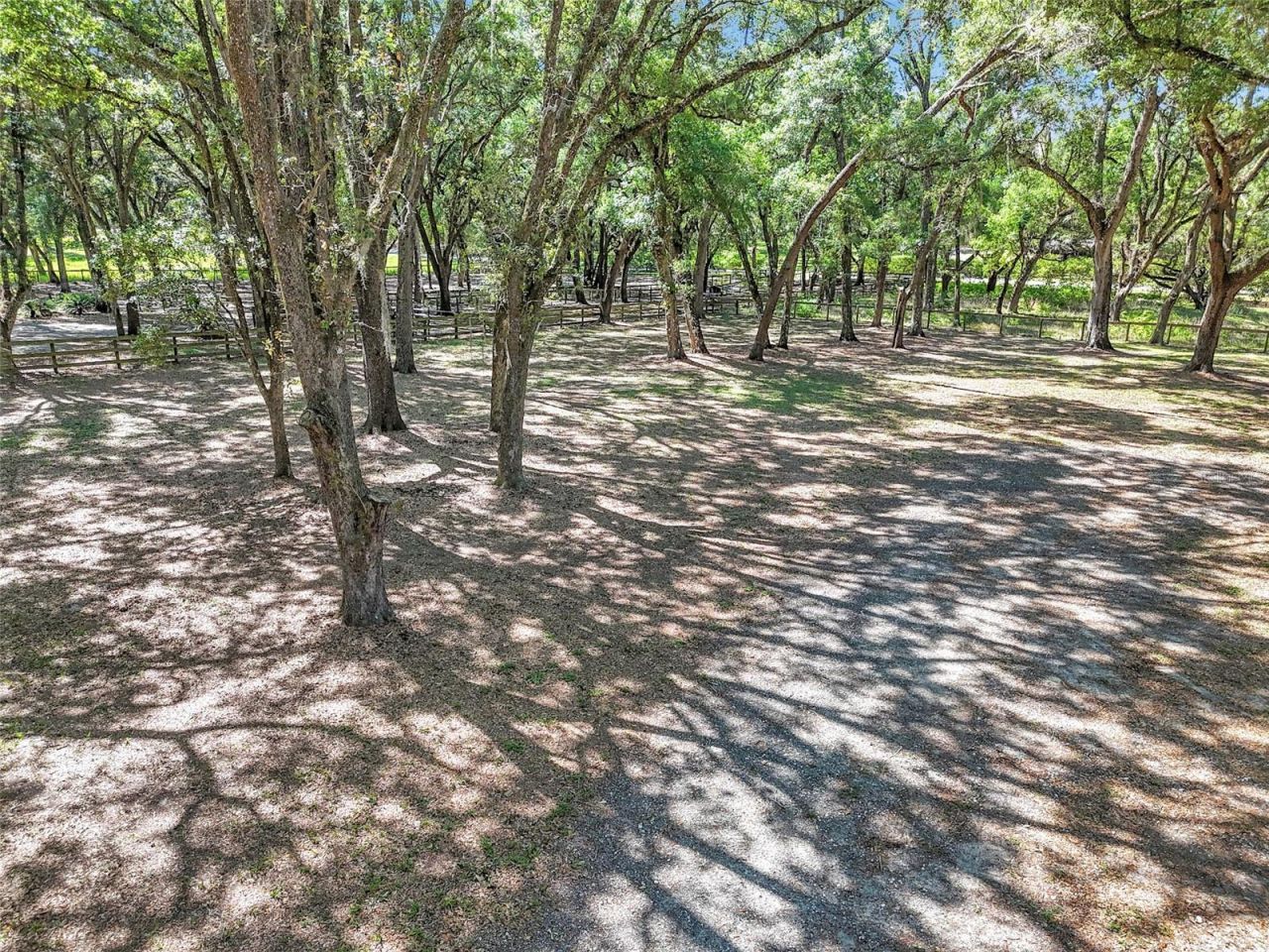 3325 S Hwy 314a, Ocklawaha, FL 32179 Photo