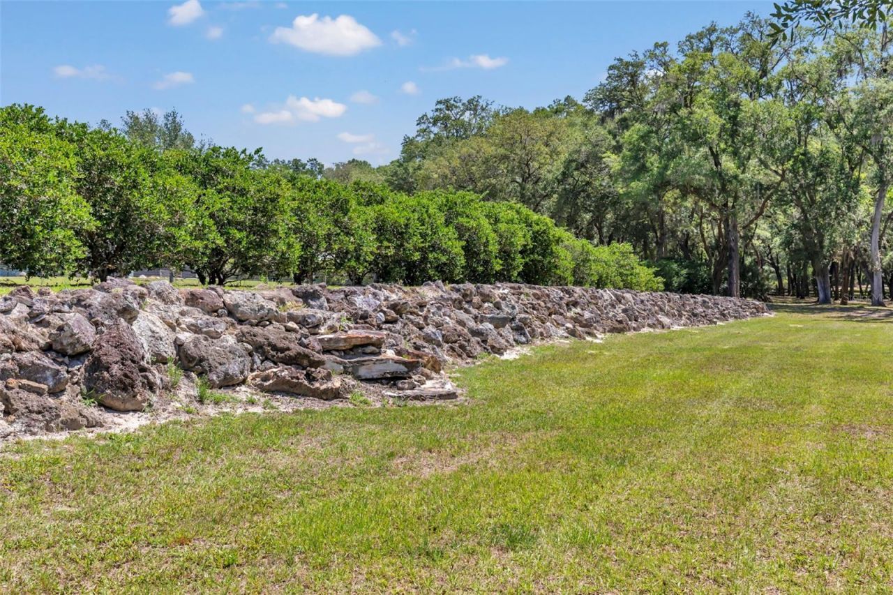 3325 S Hwy 314a, Ocklawaha, FL 32179 Photo