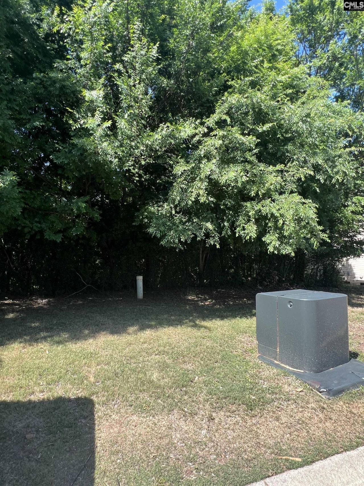 357 Canal Place Drive  Photo 4