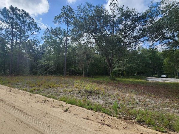 00 Britt St, Interlachen, FL 32148