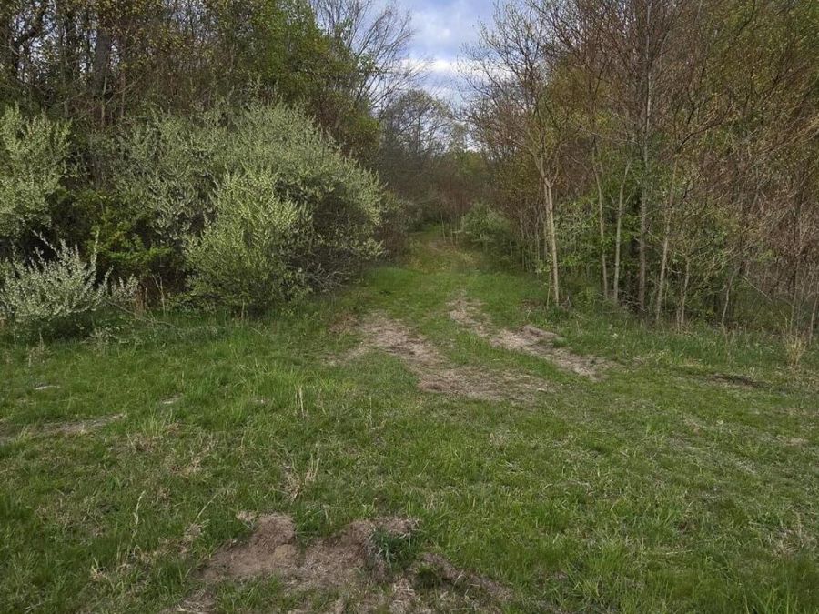 Property Image 33