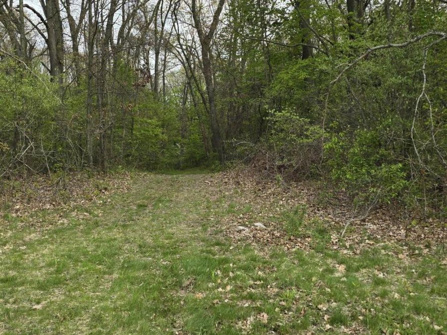 Property Image 43