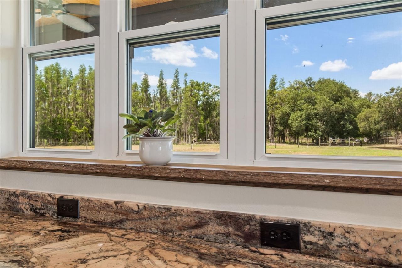 41451 Nipper Road, Zephyrhills, FL 33540 Photo
