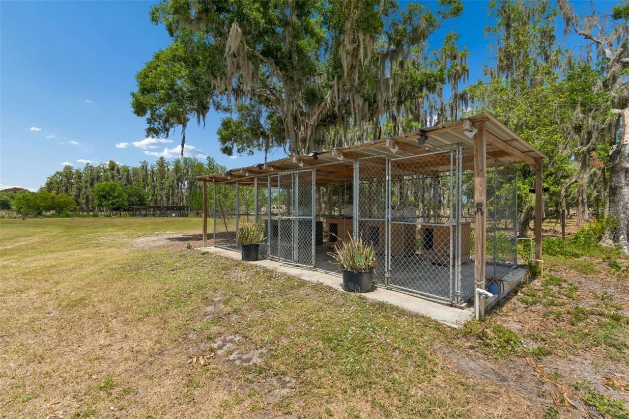 41451 Nipper Road, Zephyrhills, FL 33540 Photo
