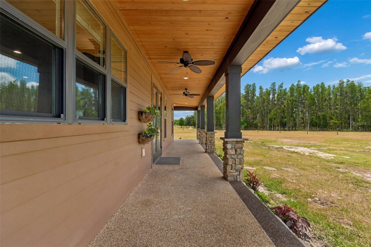 41451 Nipper Road, Zephyrhills, FL 33540 Photo