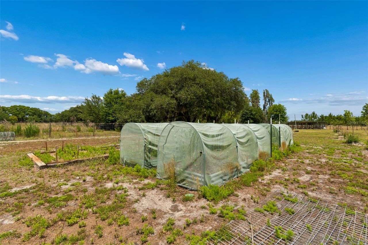 41451 Nipper Road, Zephyrhills, FL 33540 Photo