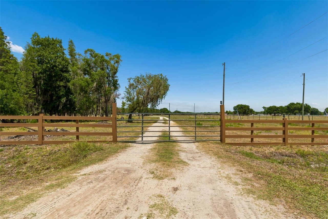 41451 Nipper Road, Zephyrhills, FL 33540 Photo