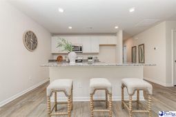 508 Fiddler Run Lane photo 4