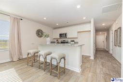 508 Fiddler Run Lane photo 4