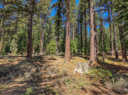 12672 Granite Drive, Truckee, CA 96161 Photo