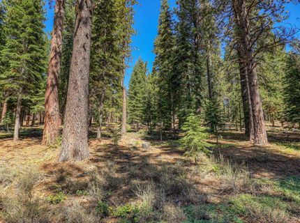 12672 Granite Drive, Truckee, CA 96161 Photo