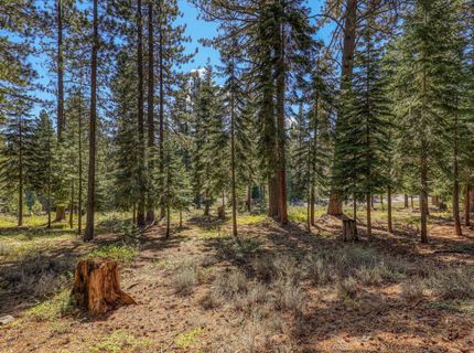 12672 Granite Drive, Truckee, CA 96161 Photo