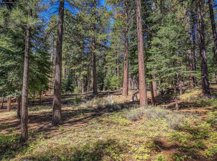 12672 Granite Drive, Truckee, CA 96161 Photo