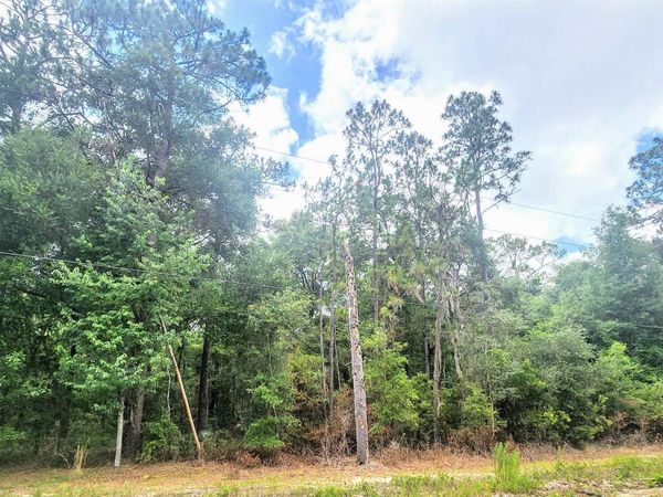 415 Pheasant Rd, Satsuma, FL 32189