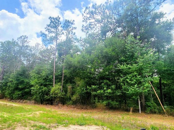 417 Pheasant Rd, Satsuma, FL 32189
