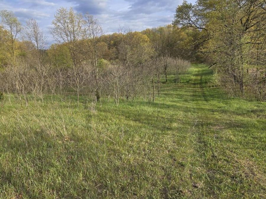 Property Image 19