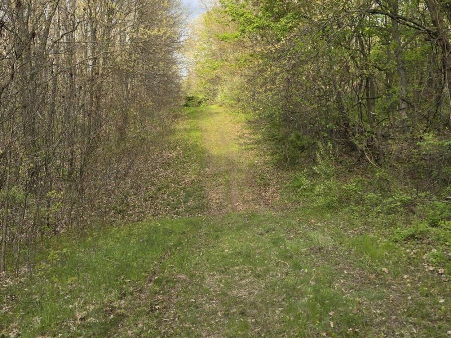 Property Image 21