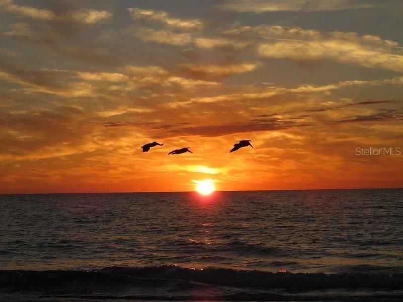 611 Gulf Drive N, Unit C15, Bradenton Beach, FL 34217 Photo