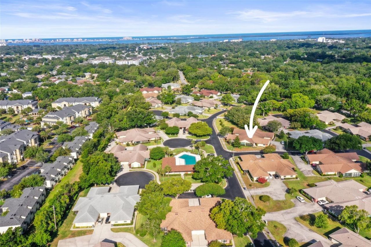 400 Stirling Terrace, Dunedin, FL 34698 Photo