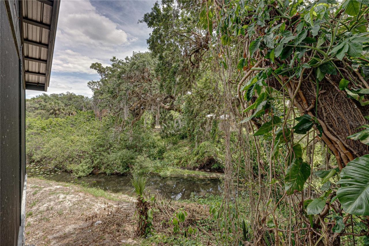 975 Caloosa Estates Drive , Labelle, FL 33935 Photo