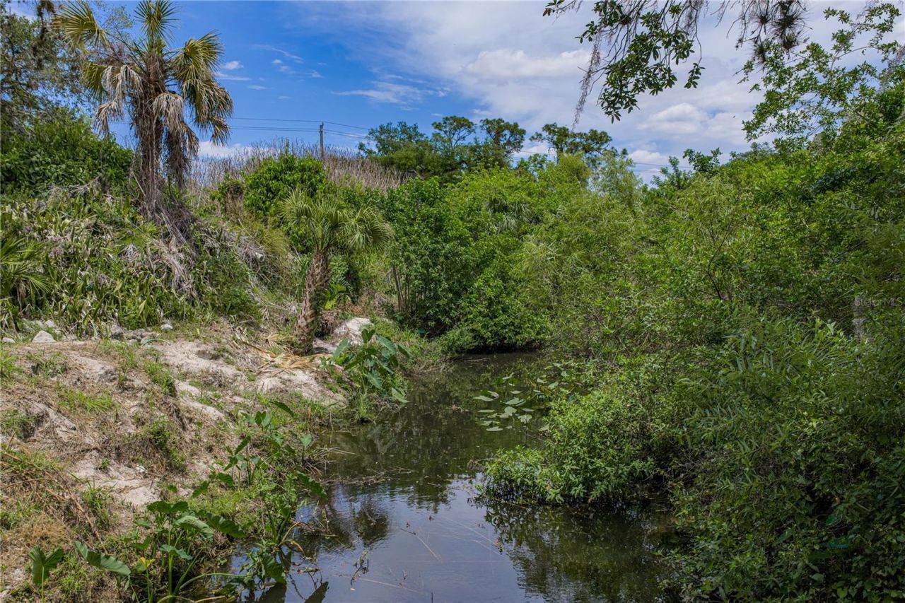 975 Caloosa Estates Drive , Labelle, FL 33935 Photo