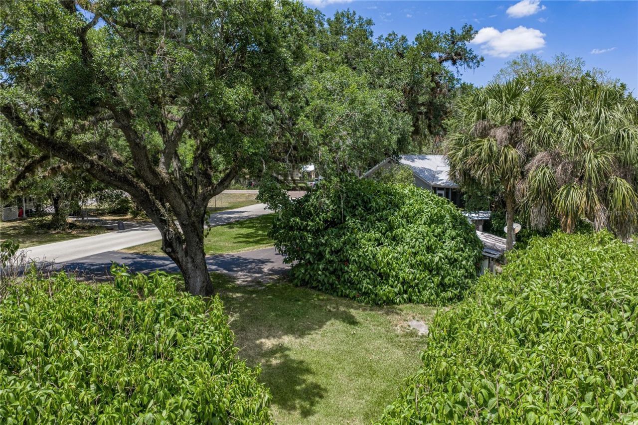 975 Caloosa Estates Drive , Labelle, FL 33935 Photo