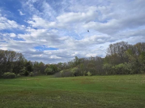692 Pierce Road, Plainwell, MI 49080